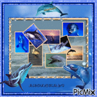 de magnifique dauphins - Безплатен анимиран GIF