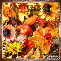 Autumn Bouquet - Free animated GIF