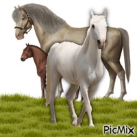 Paarden - Bezmaksas animēts GIF