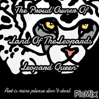 land of the leopards - GIF animado gratis