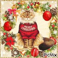 ☆☆MERRY CHRISTMAS-CAT☆☆