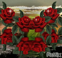 roses rouges animowany gif