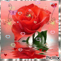 Rosa - Bezmaksas animēts GIF