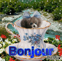 Bonjour - Bezmaksas animēts GIF