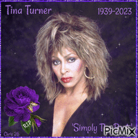 Tina Turner - Contest - GIF animé gratuit