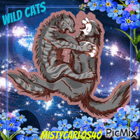 Wild Cats - GIF animado grátis