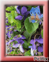 Csodás tavaszi fotóim a kertemről. - Free animated GIF