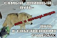 укпупу - Ingyenes animált GIF