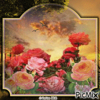 Fleurs par BBM animerad GIF