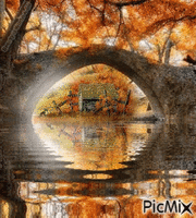 Autumn Bridge animirani GIF