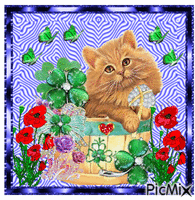 Cat among flowers GIF animasi