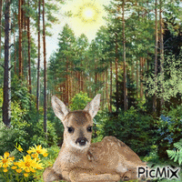 How beautiful this world is. Animated GIF