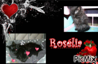 Rosélia - GIF animate gratis