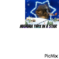 Mamma twix in a Christmas star - Gratis geanimeerde GIF