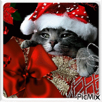 Animal de Noël - Rouge, noir et blanc - GIF animado gratis