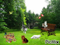 parade de chats - GIF animado grátis