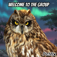 welcome owl animasyonlu GIF