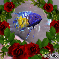 ryba animált GIF