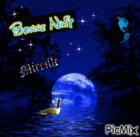 nuit étoilée - Nemokamas animacinis gif