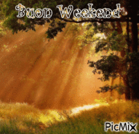 Buon Weekend !!! - 無料のアニメーション GIF