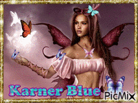 Karner Blue - Gratis animeret GIF
