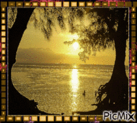 coucher de soleil GIF animado