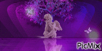 purple - GIF animate gratis