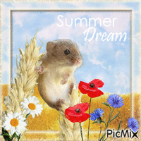 Summer Dream GIF animé