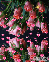 цветы - Ilmainen animoitu GIF