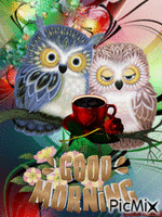 GOOD MORNING OWL 动画 GIF