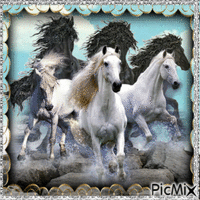 Wild Horses Animated GIF