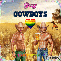 gay cowboys