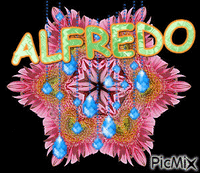 ALFREDO - Free animated GIF