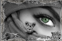 Cat's Eye animerad GIF