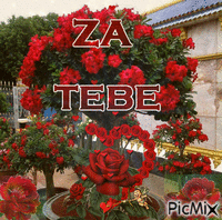 ZA TEBE - Бесплатный анимированный гифка