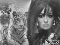 тигр и девушка - Darmowy animowany GIF