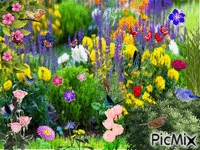 lindo jardim - GIF animado gratis