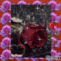 Rosa - Darmowy animowany GIF