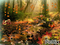 automne - Gratis animerad GIF