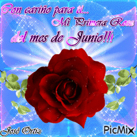 MI PRIMERA ROSA DEL MES DE JUNIO - Бесплатный анимированный гифка