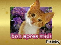 bon apres midi - Animovaný GIF zadarmo