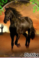 caballo(forever) - GIF animado gratis