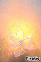Lotus of my heart - Бесплатный анимированный гифка