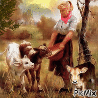 Fütterung ländlicher Tiere Animated GIF
