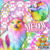Rainbow cats ♡ - GIF animé gratuit