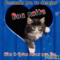 Cães & Gatos Amor sem fim. 00002 - Δωρεάν κινούμενο GIF