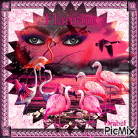 Flamant rose ☼💖 ‿💖☼ - GIF animé gratuit