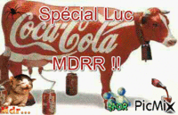 spécial Luc mdrrr !! animált GIF