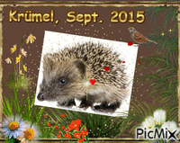 Krümel, Sept. 2015 - GIF animado grátis