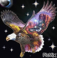 as the eagle flies - Free animated GIF